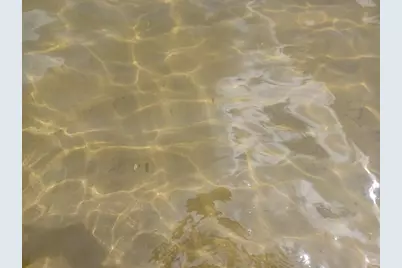 6812 Lake Drive, Hastings, MI 49058 - Photo 2