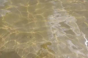 6812 Lake Dr, Hastings, MI 49058 - Photo 2