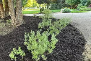 71 Kristin Dr, Marshall, MI 49068 - Photo 58