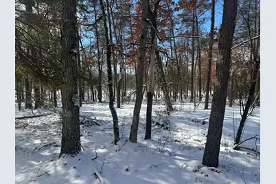 7251 S Clay Banks Road, Baldwin, MI 49304 - Photo 4