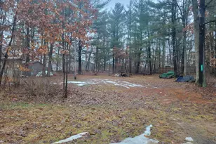 8650 Paw Paw Trail, Howard City, MI 49329 - Photo 4