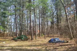 8650 Paw Paw Trail, Howard City, MI 49329 - Photo 6