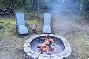 3833 E Creek Wood Dr, Chase, MI 49623 - Photo 54