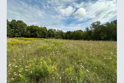 36 V/L N Ferris Road, Six Lakes, MI 48886 - Photo 10