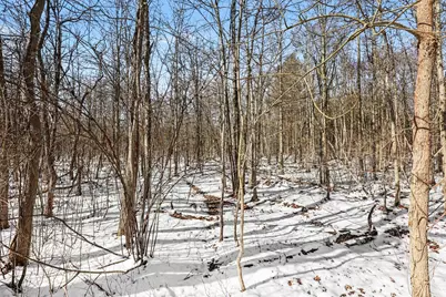 5409 105th Avenue, Pullman, MI 49450 - Photo 12