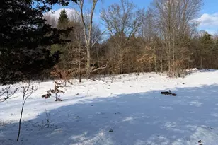 5409 105th Ave, Pullman, MI 49450 - Photo 6