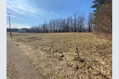 Bailey Lane, Buchanan, MI 49107 - Photo 8