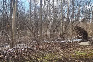 1568 Outer Ln Dr, Ypsilanti, MI 48198 - Photo 12