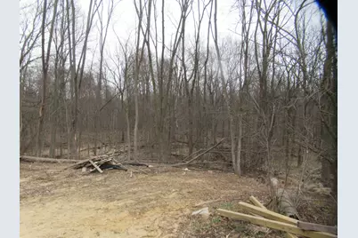 Williamsville Street, Cassopolis, MI 49031 - Photo 2