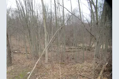 Williamsville Street, Cassopolis, MI 49031 - Photo 1