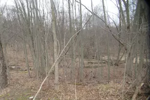 Williamsville St, Cassopolis, MI 49031 - Photo 1