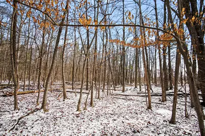 11450 Tefft Avenue NE, Rockford, MI 49341 - Photo 8