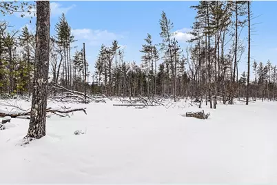 0 Vl N Pioneer Rd, Lake City, MI 49651 - Photo 12