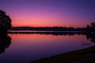 297 S Cass St, Morley, MI 49336 - Photo 32