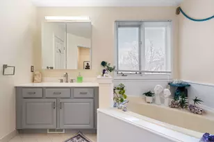 586 Liberty Pointe Dr, Ann Arbor, MI 48103 - Photo 28