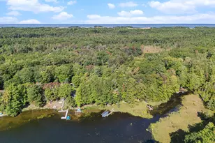 6655 W Nurnberg Rd, Free Soil, MI 49411 - Photo 28