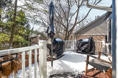 2009 Tibbitts Court, Ann Arbor, MI 48105 - Photo 66