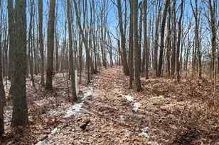 7494 Shelburne Ct NE, Ada, MI 49301 - Photo 22