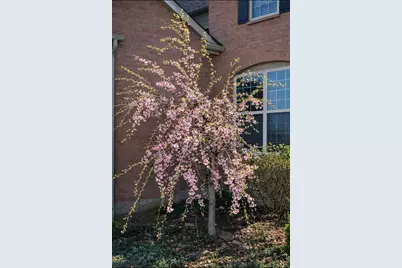 4469 Cherry Blossom Drive, Ypsilanti, MI 48197 - Photo 72