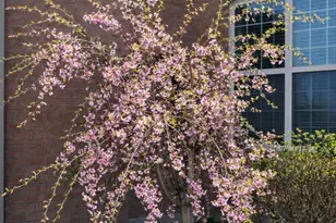 4469 Cherry Blossom Dr, Ypsilanti, MI 48197 - Photo 72