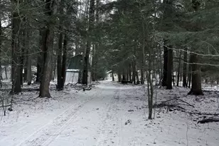 1478 E Gardner Ave, Newaygo, MI 49337 - Photo 16