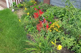 817 W 11 Mile Rd, Royal Oak, MI 48067 - Photo 34