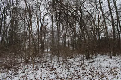 7998 4 Mile Road NE, Ada, MI 49301 - Photo 2