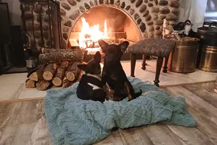 2100 Strait Tow Blvd, Crystal, MI 48818 - Photo 10