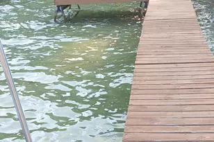 2100 Strait Tow Blvd, Crystal, MI 48818 - Photo 42