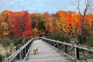 8079 Pigeon Creek Dr, West Olive, MI 49460 - Photo 68