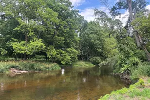 8924 Chicory Ln, Portland, MI 48875 - Photo 40