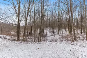 1020 Joshua Dr, Sheridan, MI 48884 - Photo 34