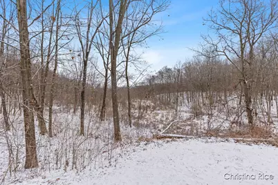 1020 Joshua Drive, Sheridan, MI 48884 - Photo 36