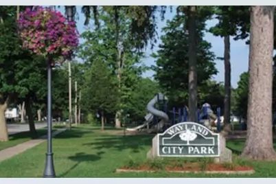 203 Vine Street, Wayland, MI 49348 - Photo 38