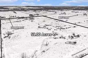 10386 S Deer Lake, Reed City, MI 49677 - Photo 1