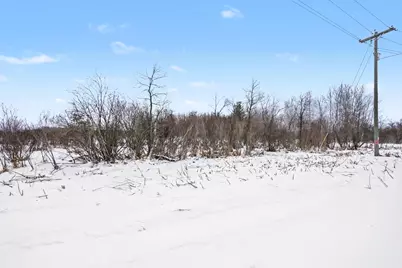 (A) S Deer Lake Road, Reed City, MI 49677 - Photo 6