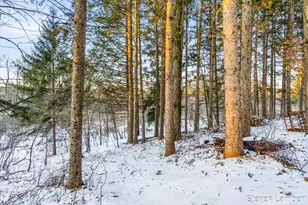 4440 S M 37 Hwy, Hastings, MI 49058 - Photo 42