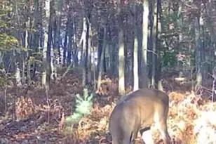 6663 Evanston Ave, Muskegon, MI 49442 - Photo 74