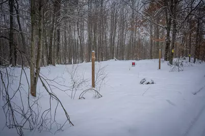 5970 E 68th Street, Chase, MI 49623 - Photo 10