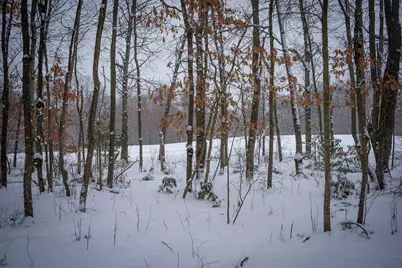 5970 E 68th Street, Chase, MI 49623 - Photo 24