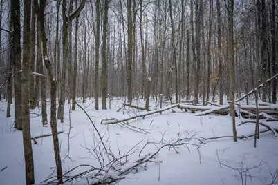 5970 E 68th Street, Chase, MI 49623 - Photo 18