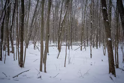 5970 E 68th Street, Chase, MI 49623 - Photo 16