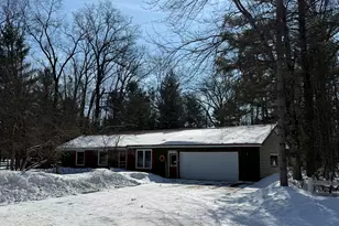8493 W 5 Mile Rd, Irons, MI 49644 - Photo 1