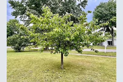 2428 S 14th Street, Niles, MI 49120 - Photo 28