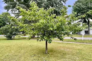 2428 S 14th St, Niles, MI 49120 - Photo 28