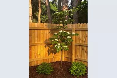 261 W Hile Road, Norton Shores, MI 49441 - Photo 6