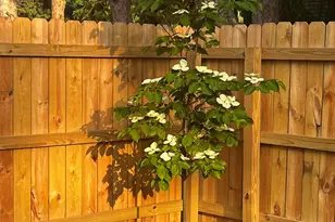 261 W Hile Rd, Norton Shores, MI 49441 - Photo 6