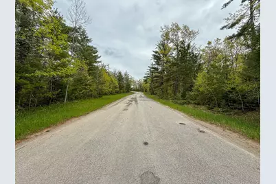 1408 Turtle Lake Road, Gaylord, MI 49735 - Photo 52