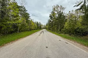 1408 Turtle Lake Rd, Gaylord, MI 49735 - Photo 52