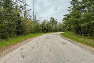 1408 Turtle Lake Rd, Gaylord, MI 49735 - Photo 54